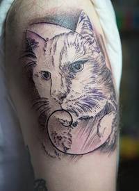 男生手臂上黑灰点刺简单线条猫咪纹身图片