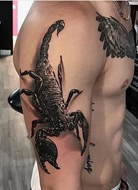 男生手臂上黑灰素描点刺技巧创意蝎子3d纹身图片