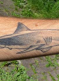 男生手臂上黑灰素描点刺技巧创意鲨鱼纹身图片