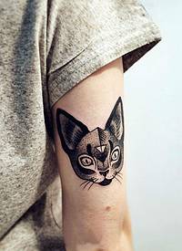 女生手臂上黑灰素描点刺技巧创意文艺猫纹身图片