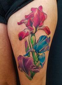 女生大腿上彩绘渐变简单线条植物花朵纹身图片