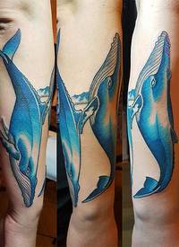 男生手臂上彩绘渐变简单线条小动物鲸鱼纹身图片