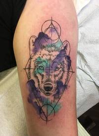 男生手臂上彩绘渐变几何简单线条小动物狼纹身图片
