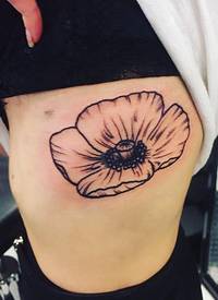 纹身罂粟花 女生侧腰上黑色的罂粟花纹身图片