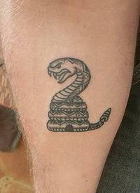 纹身蛇魔 男生手臂上黑色的蛇纹身图片
