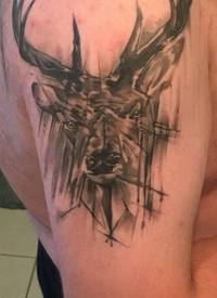 复古鹿头纹身 男生手臂上复古鹿头纹身唯美图片