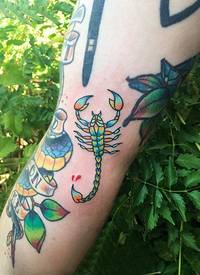 百乐动物纹身 男生手臂上彩色的蝎子纹身图片