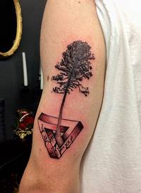 手臂纹身素材 男生手臂上大树和三角形纹身图片