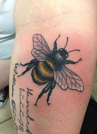 小动物纹身 男生手臂上彩色的蜜蜂纹身图片
