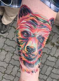 熊纹身 男生手臂上彩色的熊纹身图片