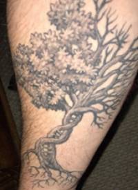 纹身树枝  男生手臂上黑灰的树纹身图片