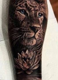 百乐动物纹身 男生小腿上莲花和狮子纹身图片