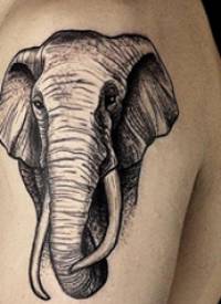 大臂纹身图 男生大臂上温顺的大象纹身图片