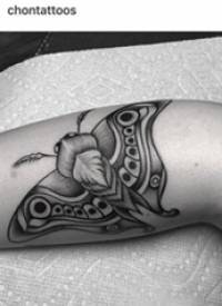 手臂纹身素材 男生手臂上黑色的飞蛾纹身图片