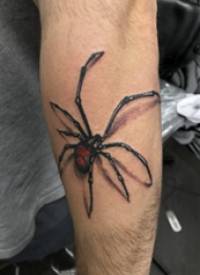 3d写实纹身 男生手臂上彩色的蜘蛛纹身图片