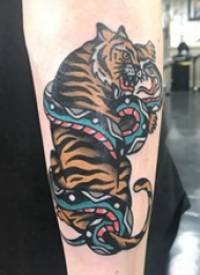 百乐动物纹身 男生手臂上蛇和老虎纹身图片