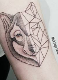 狼头纹身图片 女生手臂上黑色的拼接狼头纹身图片