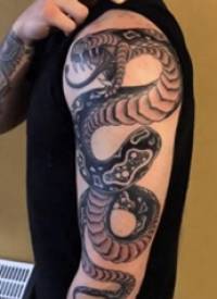 毒蛇纹身图案男  男生手臂上黑灰色的毒蛇纹身图片