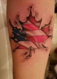 植物纹身 男生手臂上国旗和枫叶纹身图片
