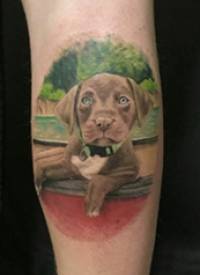 狗的纹身图案 男生小腿上超写实的小狗纹身图片