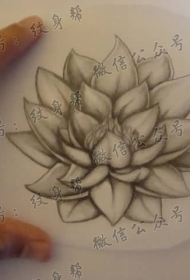一组15张莲花纹身手稿图案素材