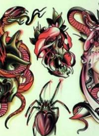 潮流经典的一组蛇蜘蛛纹身手稿