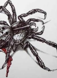 一款欧美蜘蛛纹身图案