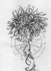 一款线条菊花纹身手稿图案