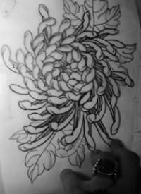 school菊花传统纹身图案手稿