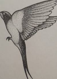 小清新点刺燕子纹身图案手稿