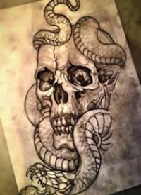 school蛇骷髅纹身图案手稿