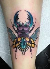 一组彩色昆虫动物系列的school纹身图案欣赏