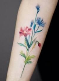 小手臂上小清新的花朵纹身图片9张