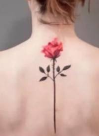 小清新的一组玫瑰花朵纹身图片赏析缩略频道推荐图