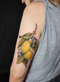 柠檬的纹身 9张关于柠檬的主题纹身图片