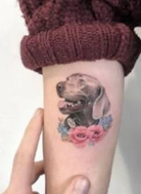可爱小动物纹身 9款漂亮的彩色唯美小动物纹身图片