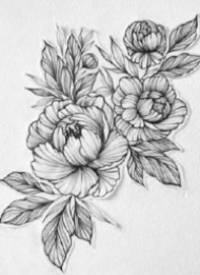 一组花卉植物的纹身手稿图片欣赏