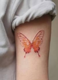 漂亮美眉最爱的蝴蝶纹身图片9张