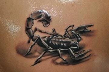 Scorpion-tattoo16-1.jpg!800