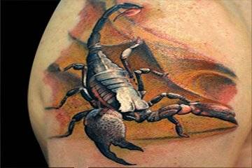 Scorpion-tattoo17.jpg!800