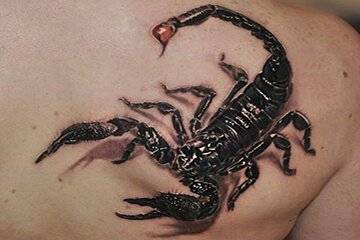 Scorpion-tattoo1.jpg!800