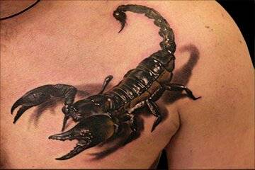 Scorpion-tattoo-1.jpg!800