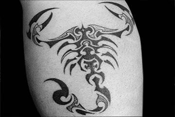 Scorpion-tattoo5.jpg!800