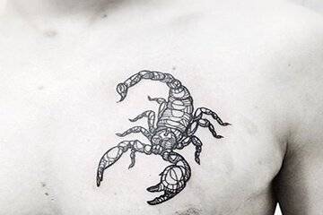 Scorpion-tattoo13.jpg!800