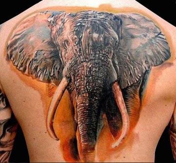 elephant-tattoo4.jpg!800