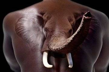 elephant-tattoo10.jpg!800