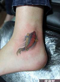 遨游的小鲤鱼脚踝纹身图案_鲤鱼纹身图案大全_纹身图吧