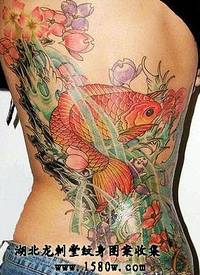 樱花鲤鱼纹身图案_鲤鱼纹身图案大全_纹身图吧