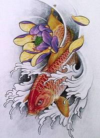 漂亮的鲤鱼纹身手稿_鲤鱼纹身图案大全_纹身图吧