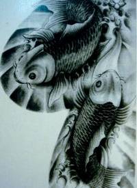 中国招财纹身图片之华丽的半胛金蝉鲤鱼纹身图_鲤鱼纹身图案大全_纹身图吧